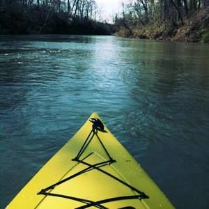 Meet your Posher, Renee